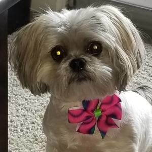 Meet your Posher, Kimberly